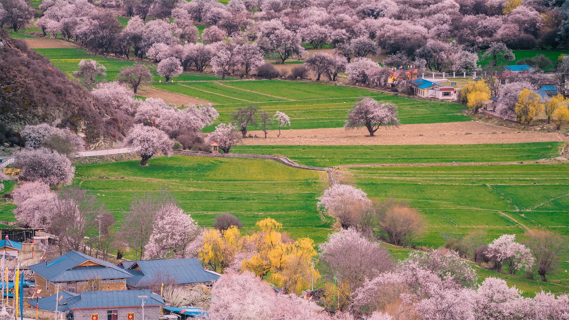 Nyingchi