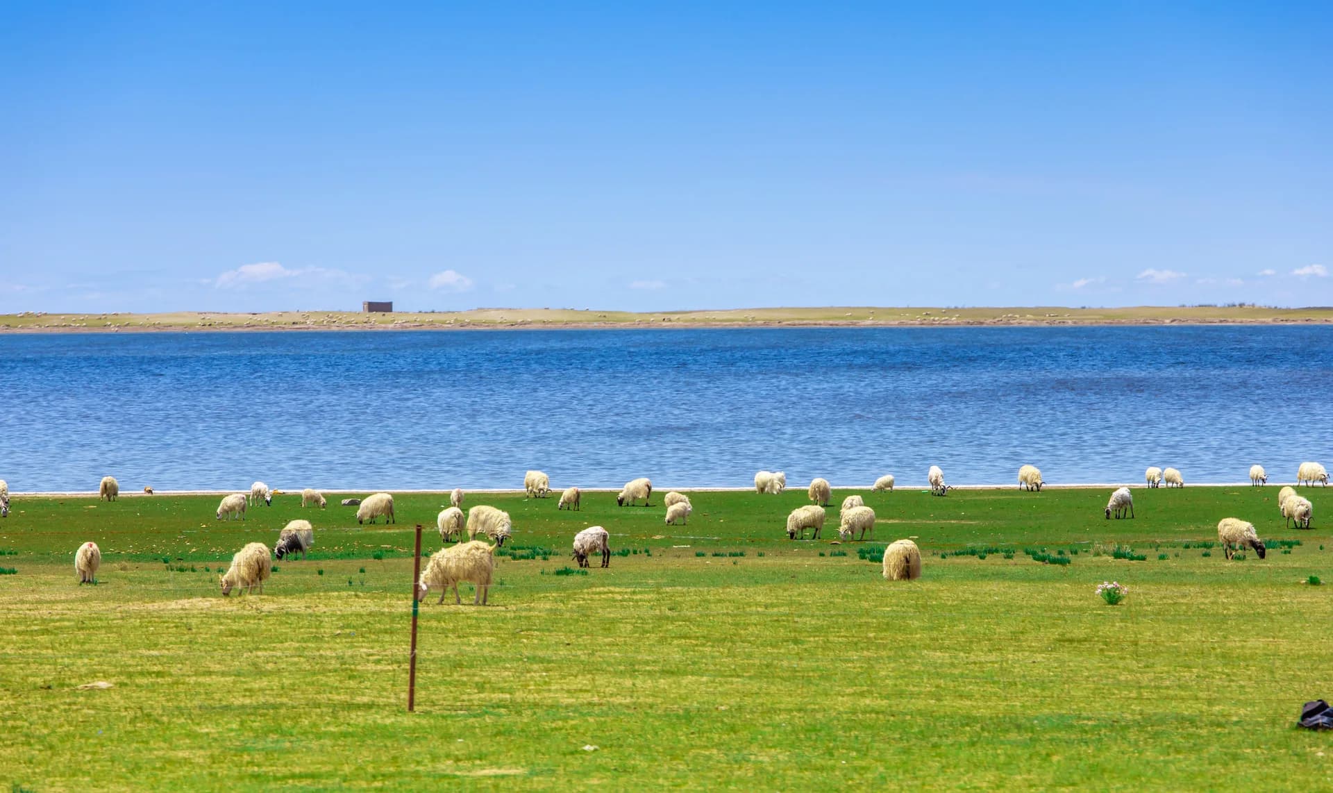 Qinghai Lake
