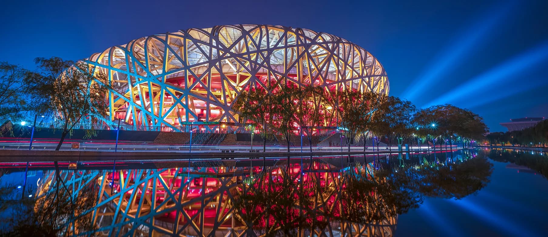Bird’s Nest