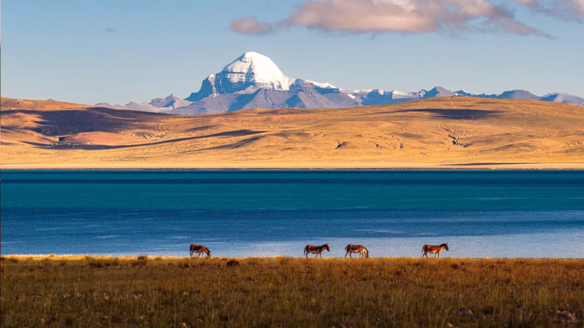 Tibet adventure