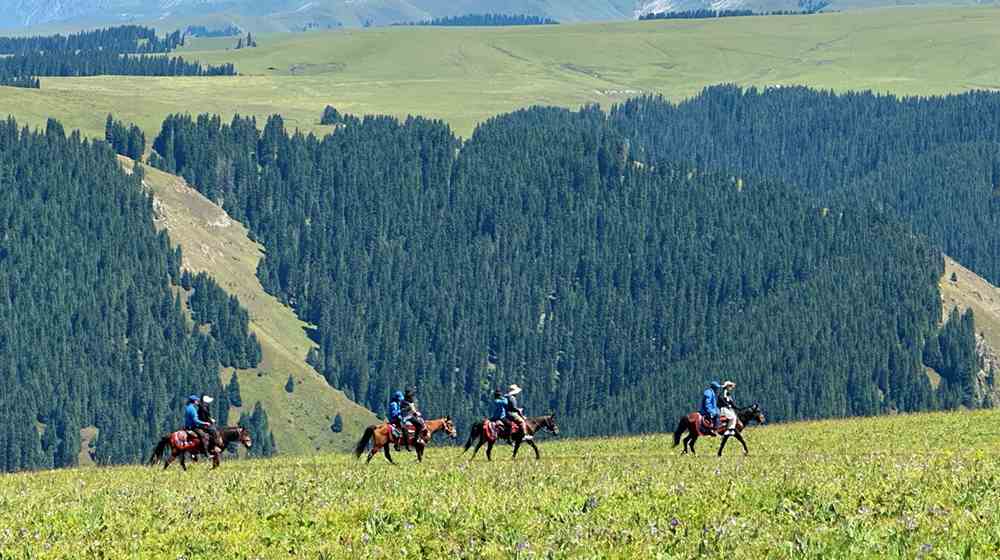 【新疆野騎】喀拉峻C綫5天4晚:秘境峽谷·雪山森林·牧歌之旅